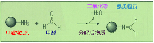 product21.jpg